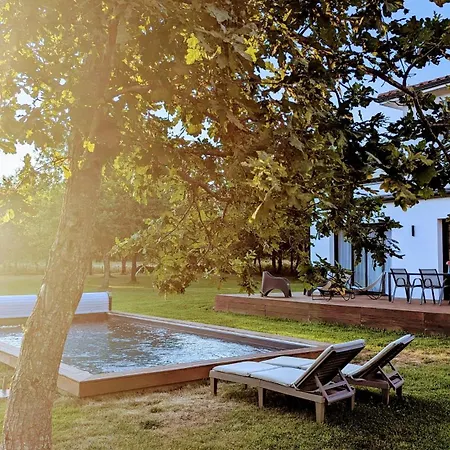 Tiny House Avec Piscine Proche Ocean Saint-Julien-en-Born